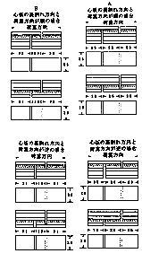 図２