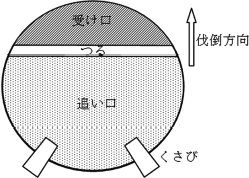 図