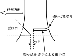 図