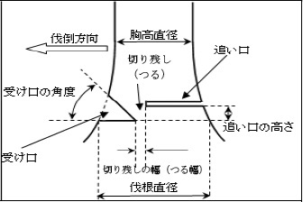 図1